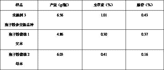 Method for breeding cordyceps militaris by hybridizing with ascospore on basis of molecular biological technology