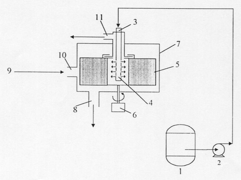 Method for removing unreacted alcohols from esters products mixture utilizing rotating packed bed