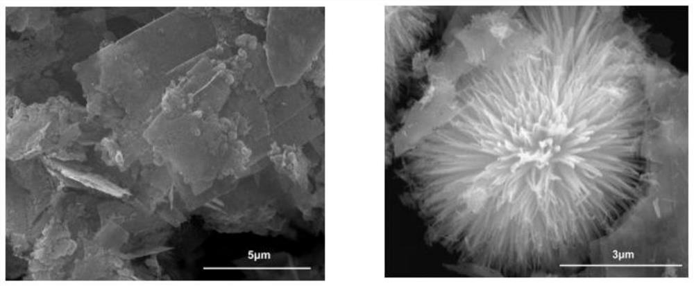 Preparation method of cobaltosic oxide and carbon quantum dot composite material