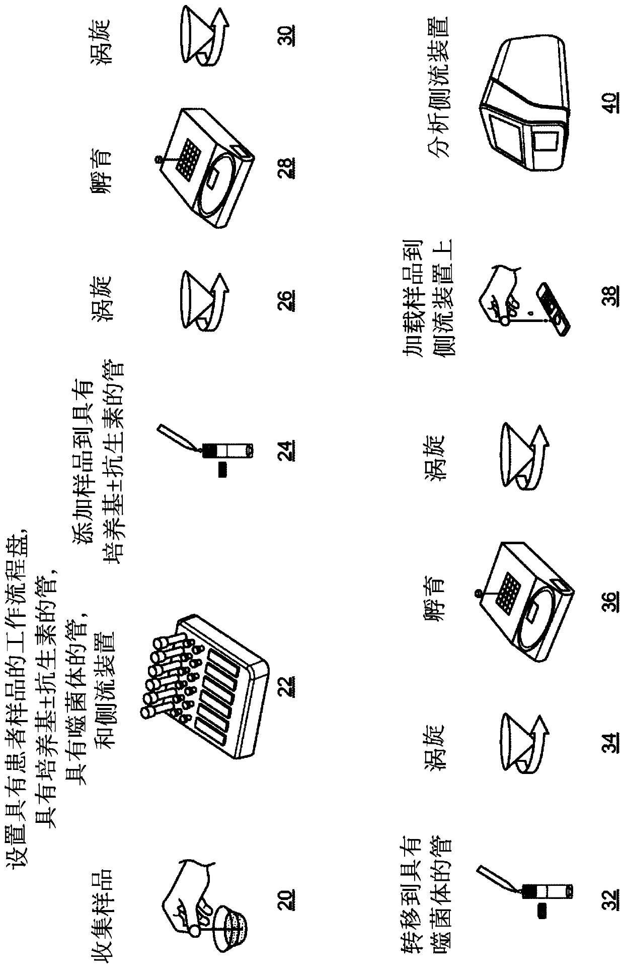 Phage-mediated immunoassay and methods for determining susceptibility of bacteria to antibiotic or probiotic agents