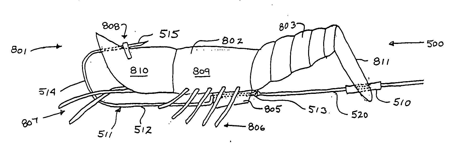 Fish catching system