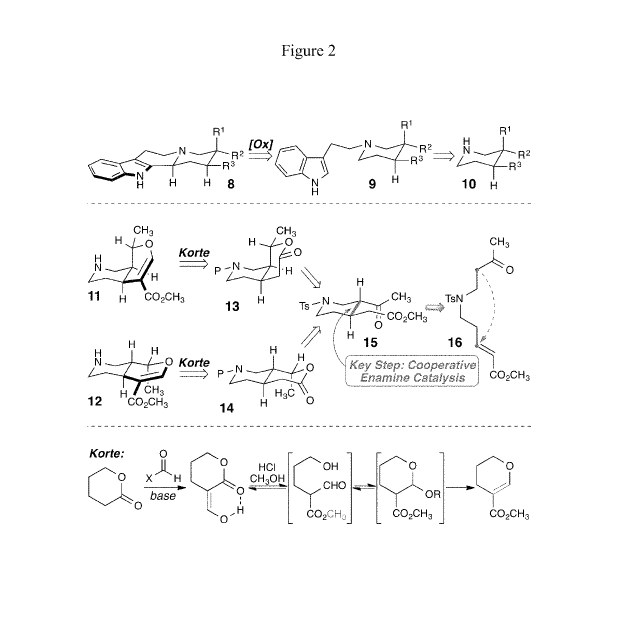 Enantioselective syntheses of heteroyohimbine natural product intermediates