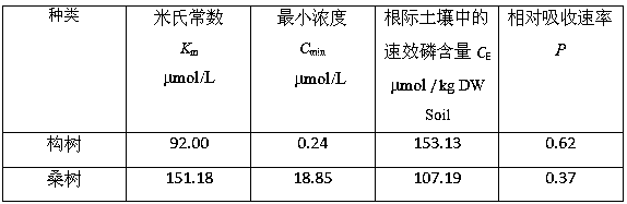 Identification method of adaptability of plants to low phosphorus environment