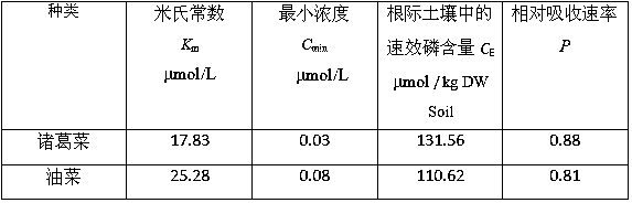 Identification method of adaptability of plants to low phosphorus environment