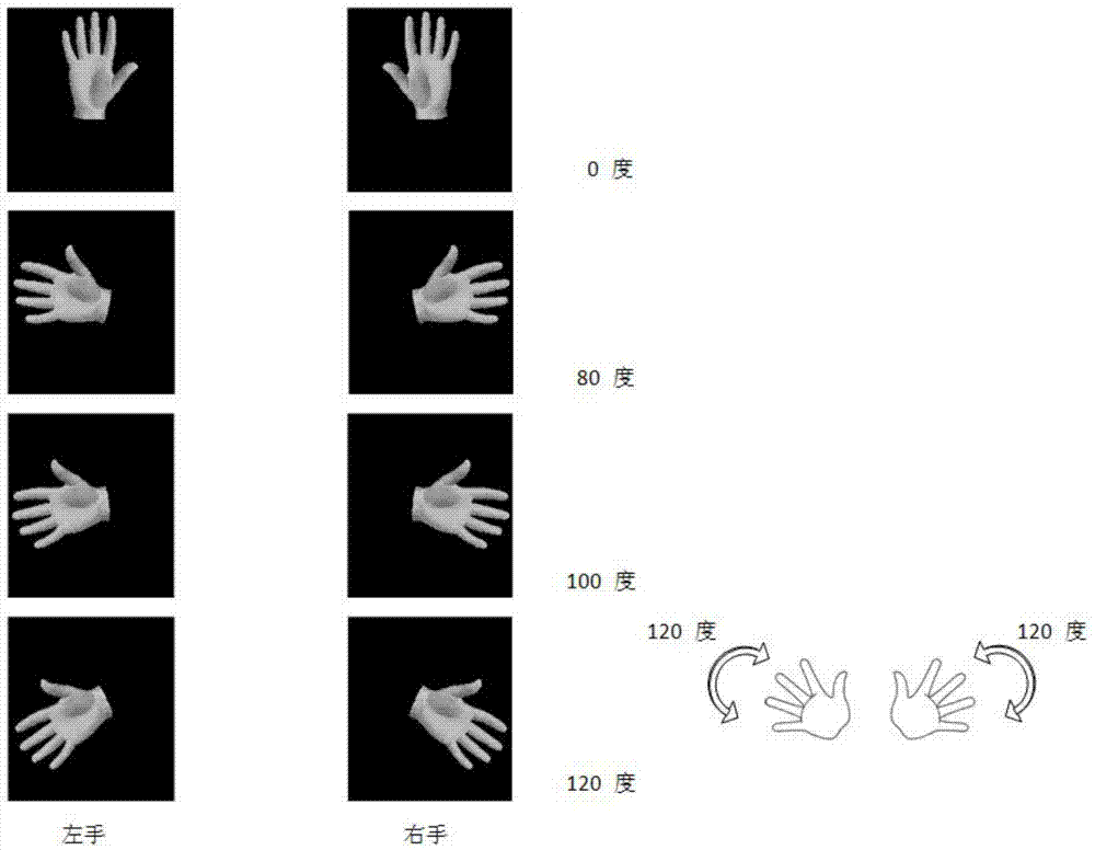 Exercise coordination capacity simple detection system