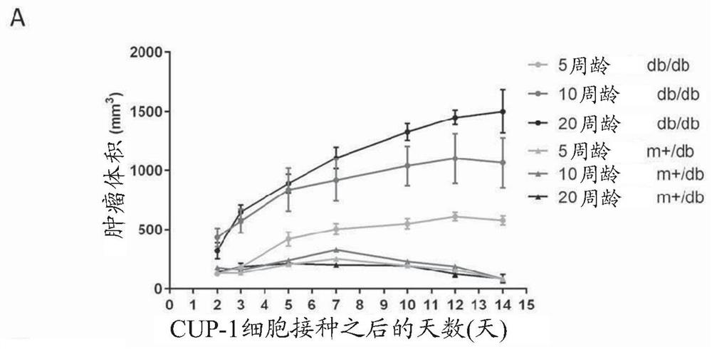 The use of glp-1 receptor agonist drugs