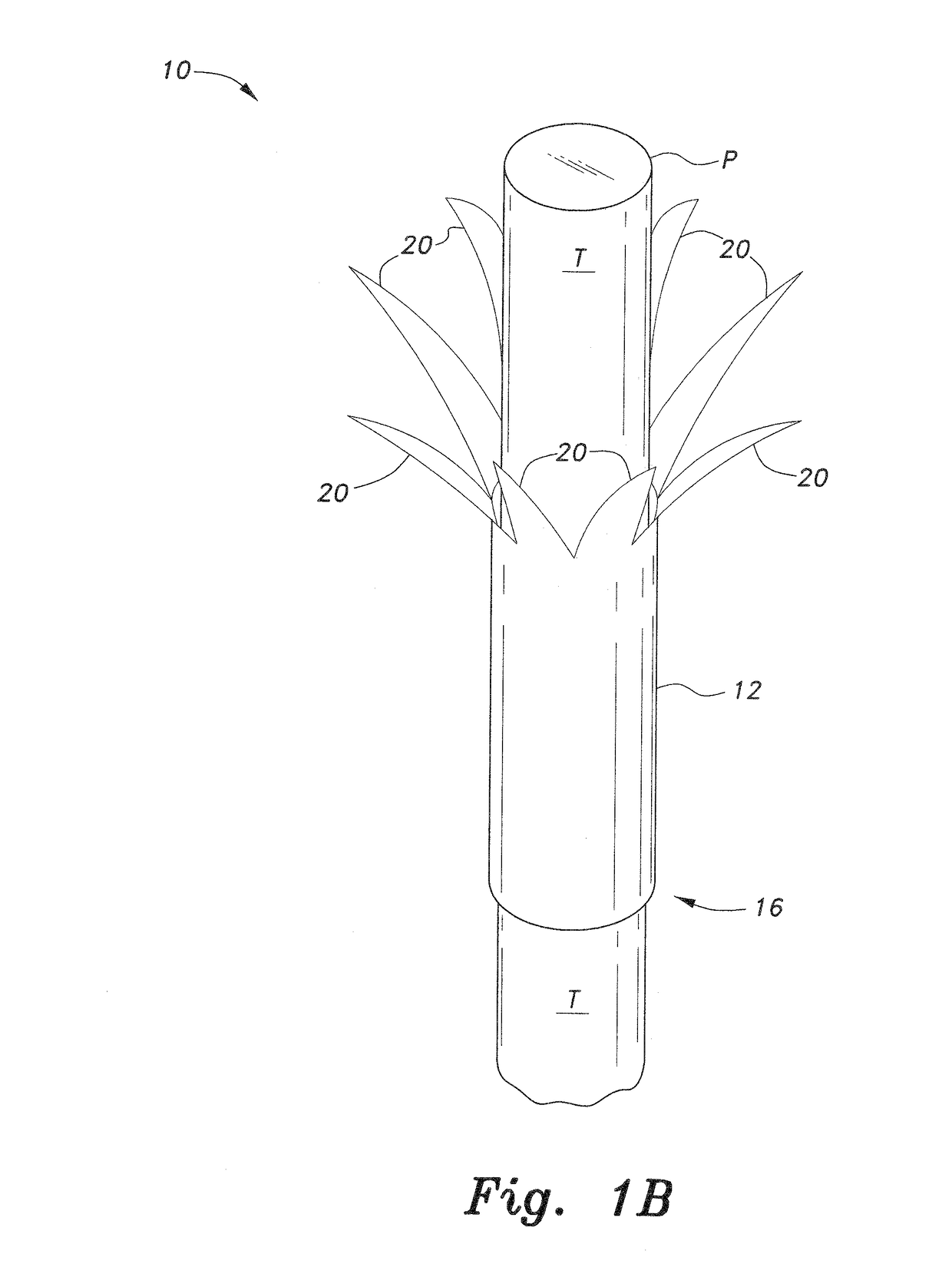 Chest tube insertion guide and method of using the same