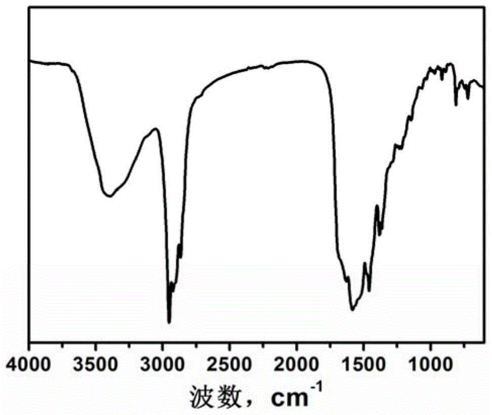 Carbon quantum dots with room temperature phosphorescence and delayed fluorescence properties and their synthesis and applications