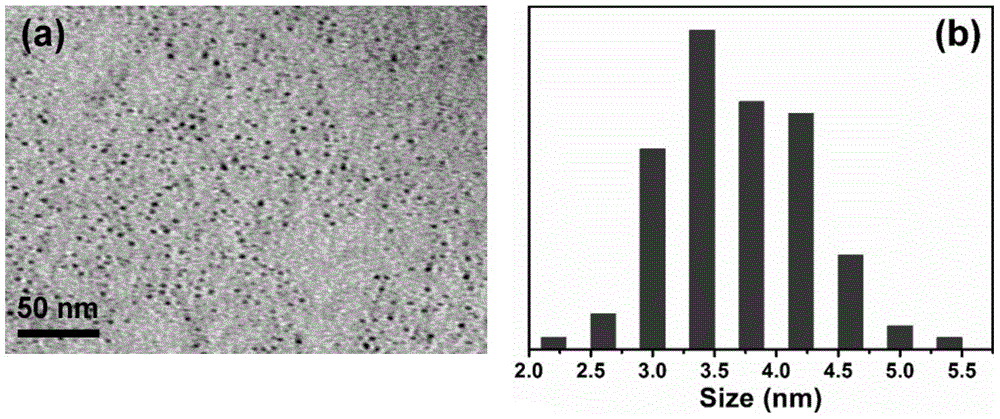 Carbon quantum dots with room temperature phosphorescence and delayed fluorescence properties and their synthesis and applications