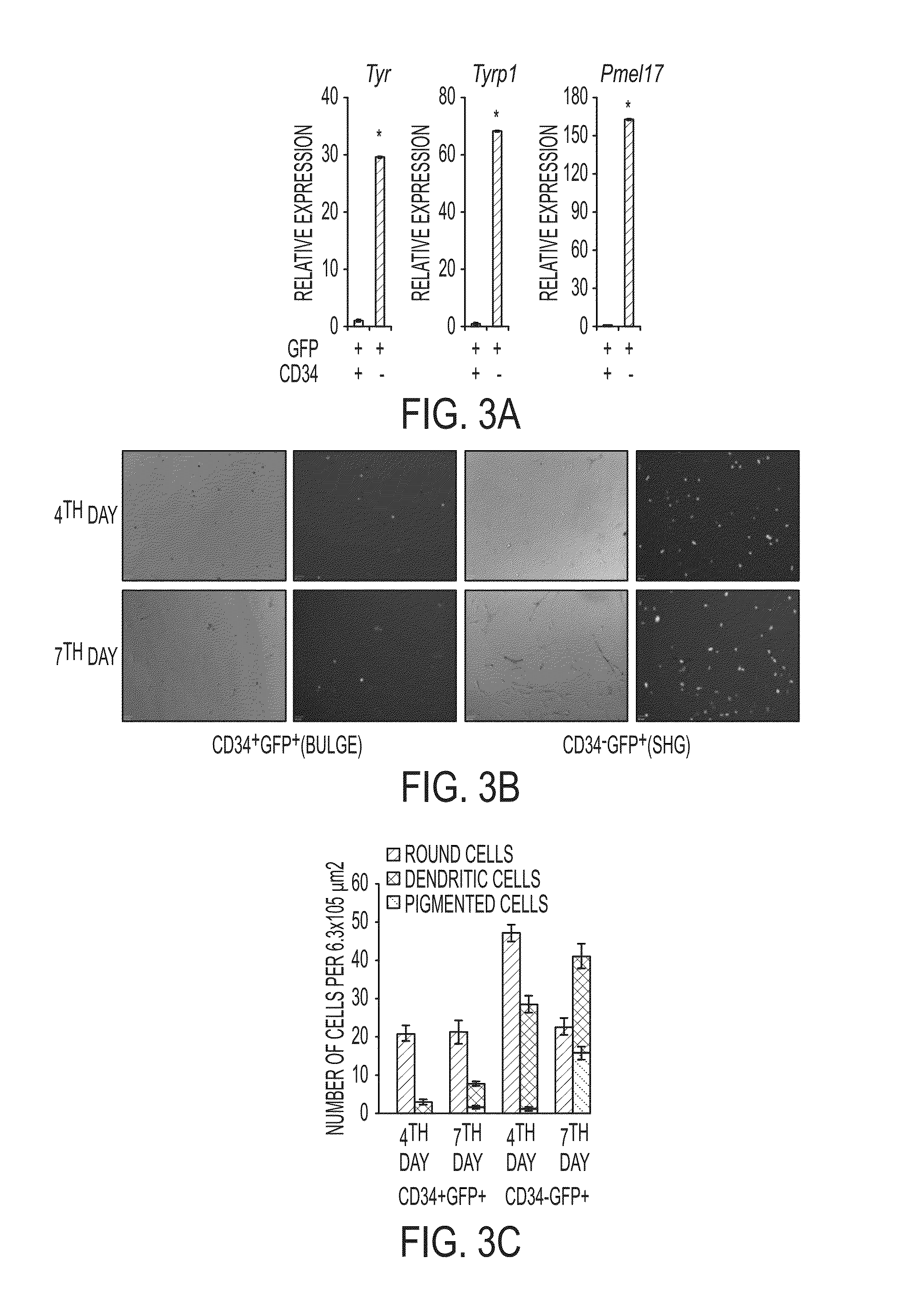 Functional myelination of neurons