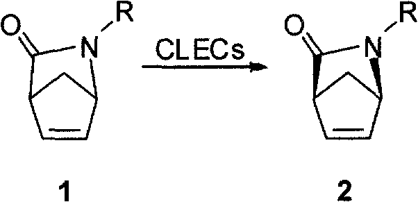 Synthetic method for chiral carbocyclic ring intermediate of abacavir