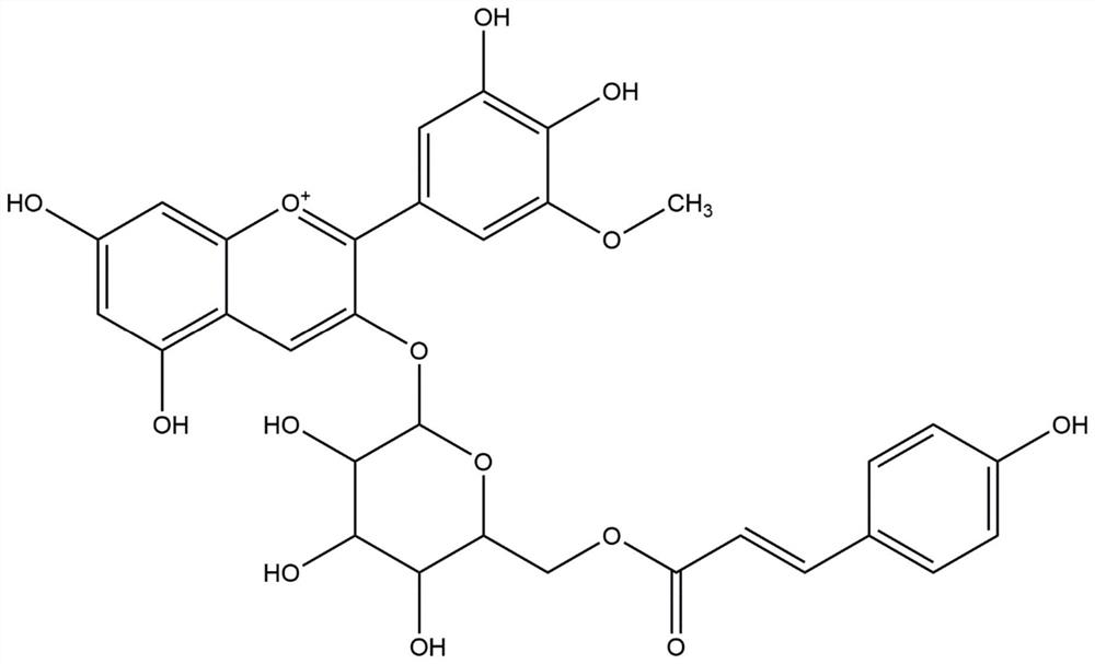 Method for separating and preparing petunidin-3-O-(6-O-p-coumaroyl) glucoside