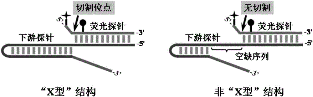 Gene mutation multi-detecting method based on signal amplification DNA logic gate