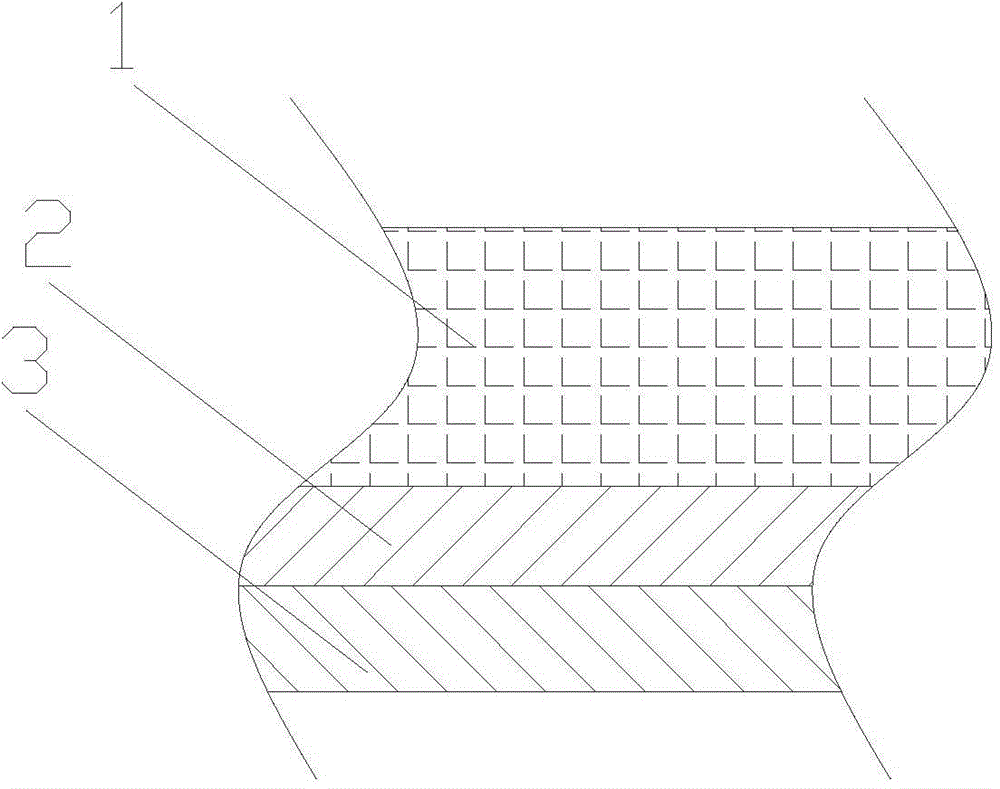 Noctilucent door and manufacturing method thereof