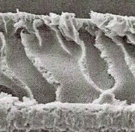 Preparation method of polyvinylidene fluoride/graphene oxide composite ultrafiltration membrane