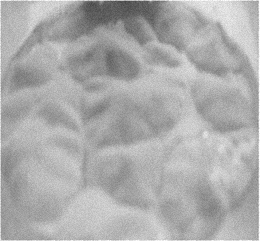 Preparation method of eurotium cristatum spore suspension