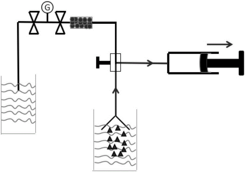 Device and method for collecting bubble gas in geothermal water