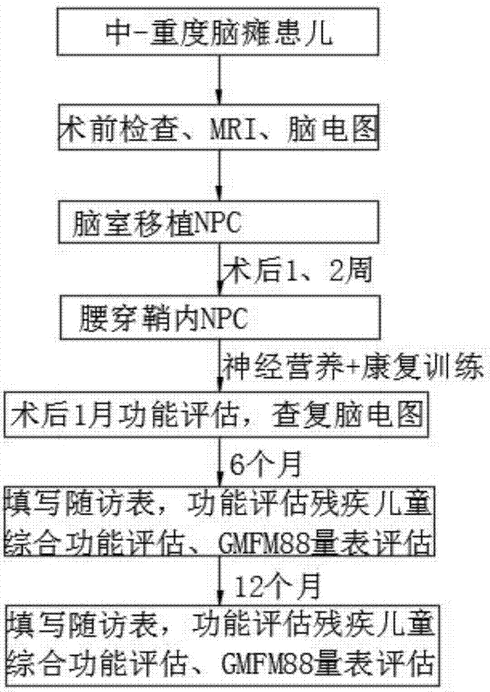 Method for treating child cerebral palsy through neural precursor cells (NPC)