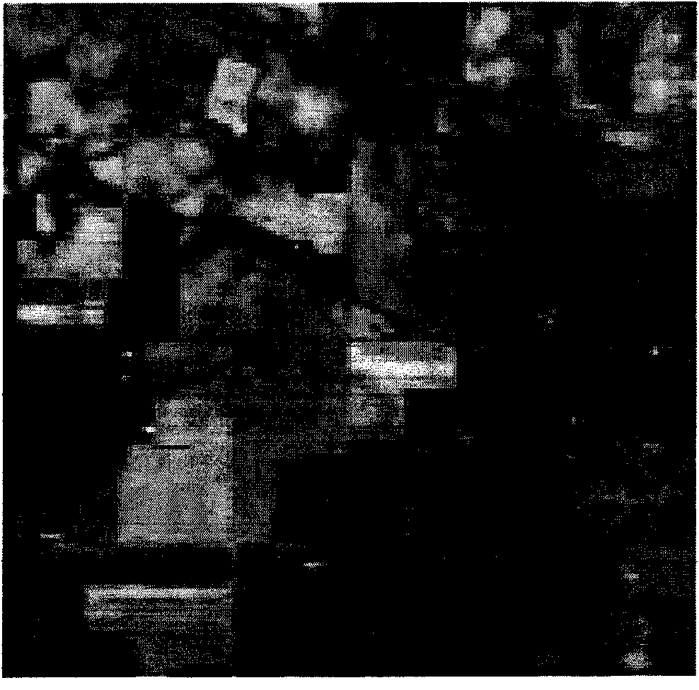 Hyperspectral image classification method based on image regular low-rank expression dimensionality reduction