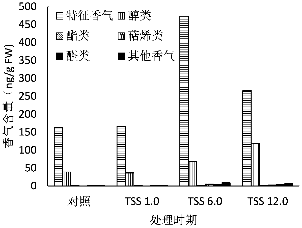 Application of melatonin in enhancing aroma of Shine-Muscat grape fruits