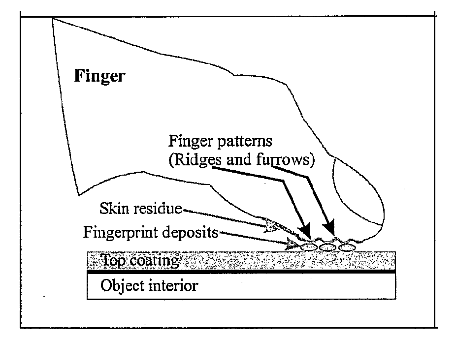 Polarization and Reflection Based Non-Contact Latent Fingerprint Imaging and Lifting