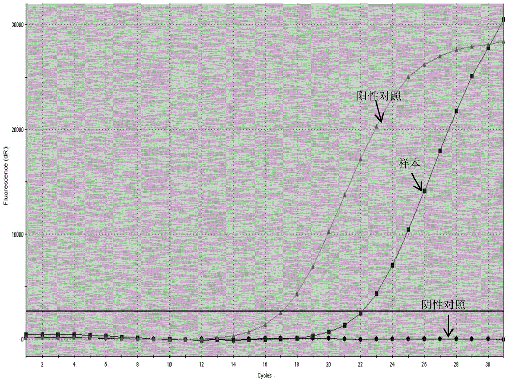 Primers, probes, detection system and kit for one time detection of intestinal cancer multiple gene mutation