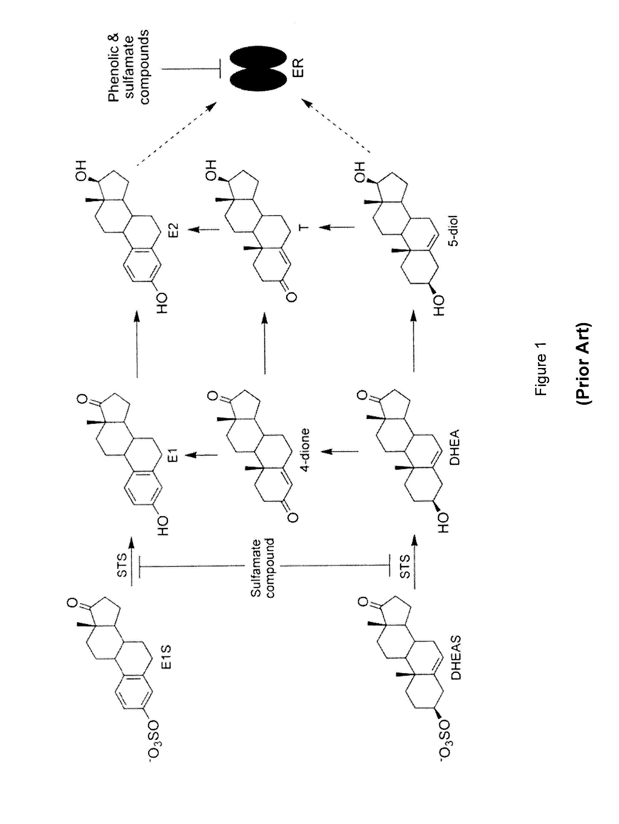 Substituted 1,2,3,4-tetrahydroisoquinoline derivatives for the treatment of hormone-dependent diseases