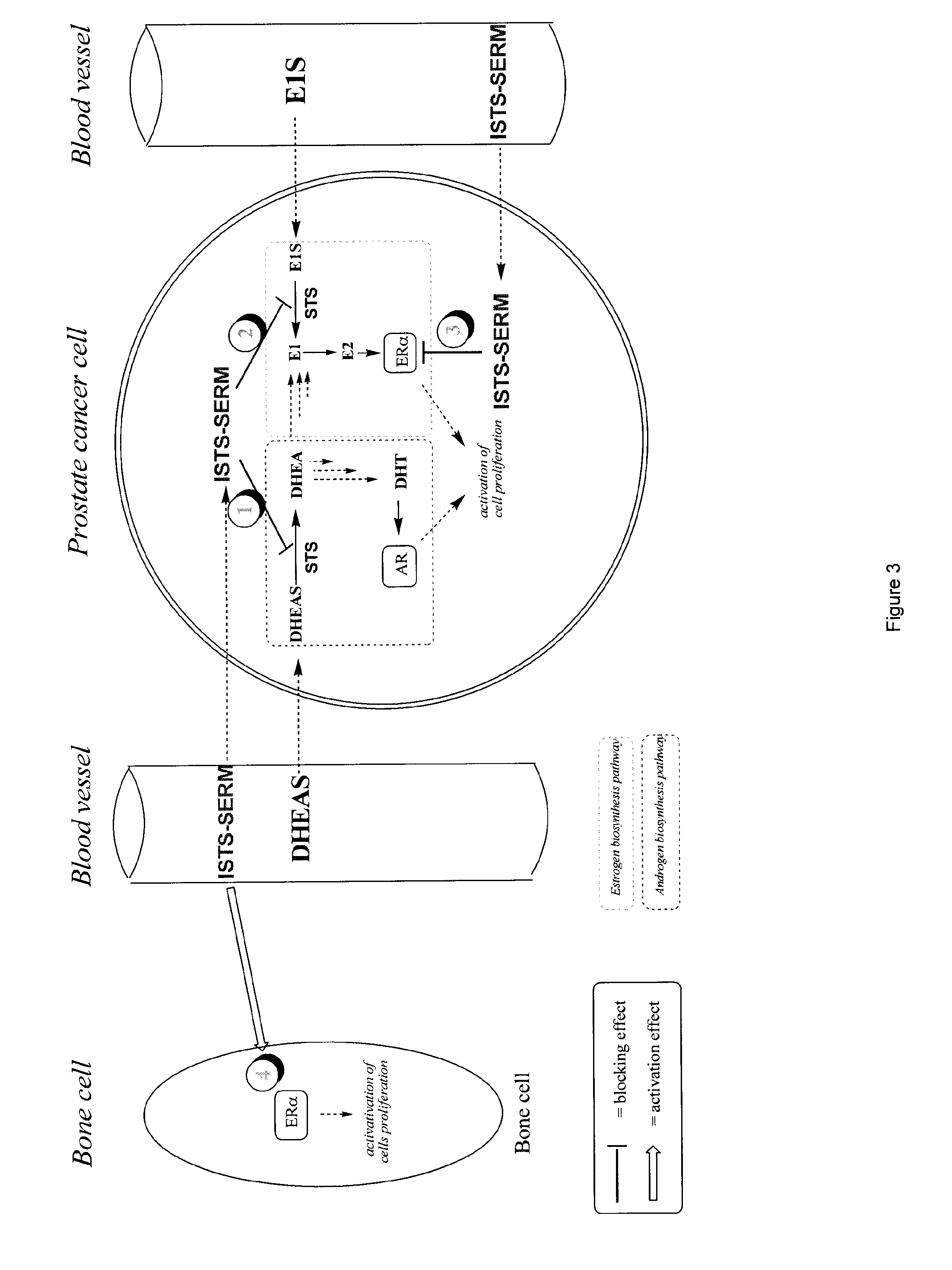 Substituted 1,2,3,4-tetrahydroisoquinoline derivatives for the treatment of hormone-dependent diseases