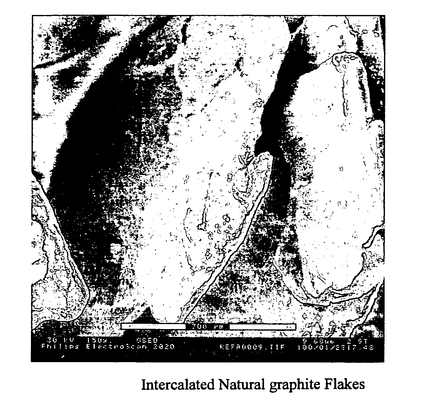 Expanded graphite and products produced therefrom