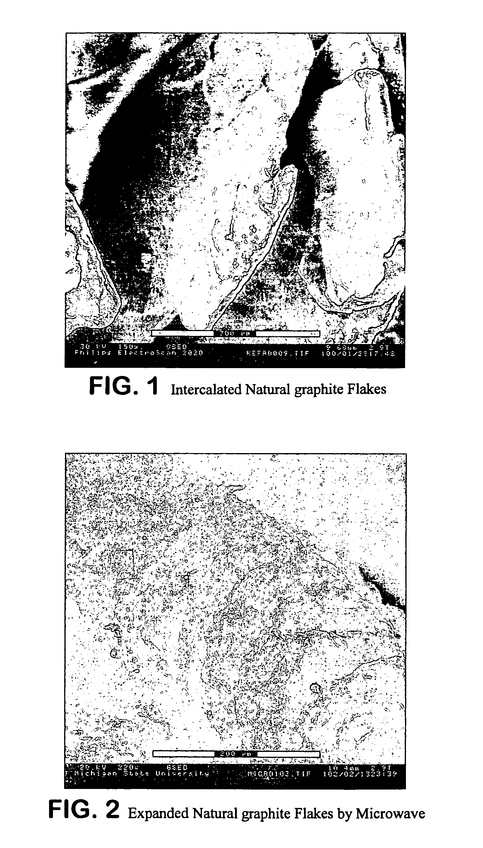 Expanded graphite and products produced therefrom