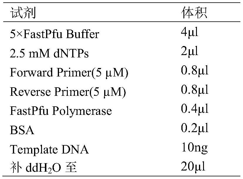 Enterobacteriaeae Catabacter pertinent to nephrotic syndromes, and application of enterobacteriaeae Catabacter pertinent to nephrotic syndromes