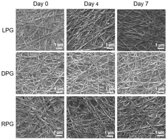 Phenylalanine-derived chiral supramolecular hydrogel and application of phenylalanine-derived chiral supramolecular hydrogel