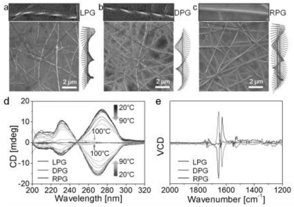 Phenylalanine-derived chiral supramolecular hydrogel and application of phenylalanine-derived chiral supramolecular hydrogel