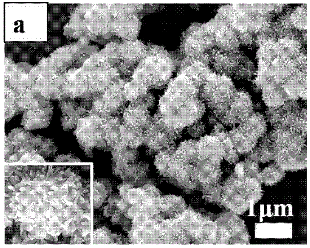 Preparation method of urchin-like titanium dioxide magnetic microspheres having double-layer cavity structures