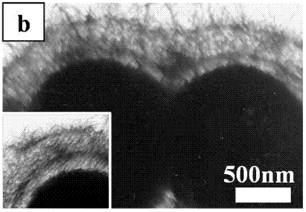 Preparation method of urchin-like titanium dioxide magnetic microspheres having double-layer cavity structures