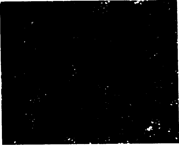 Dyeing liquid as well as dyeing method and uses thereof