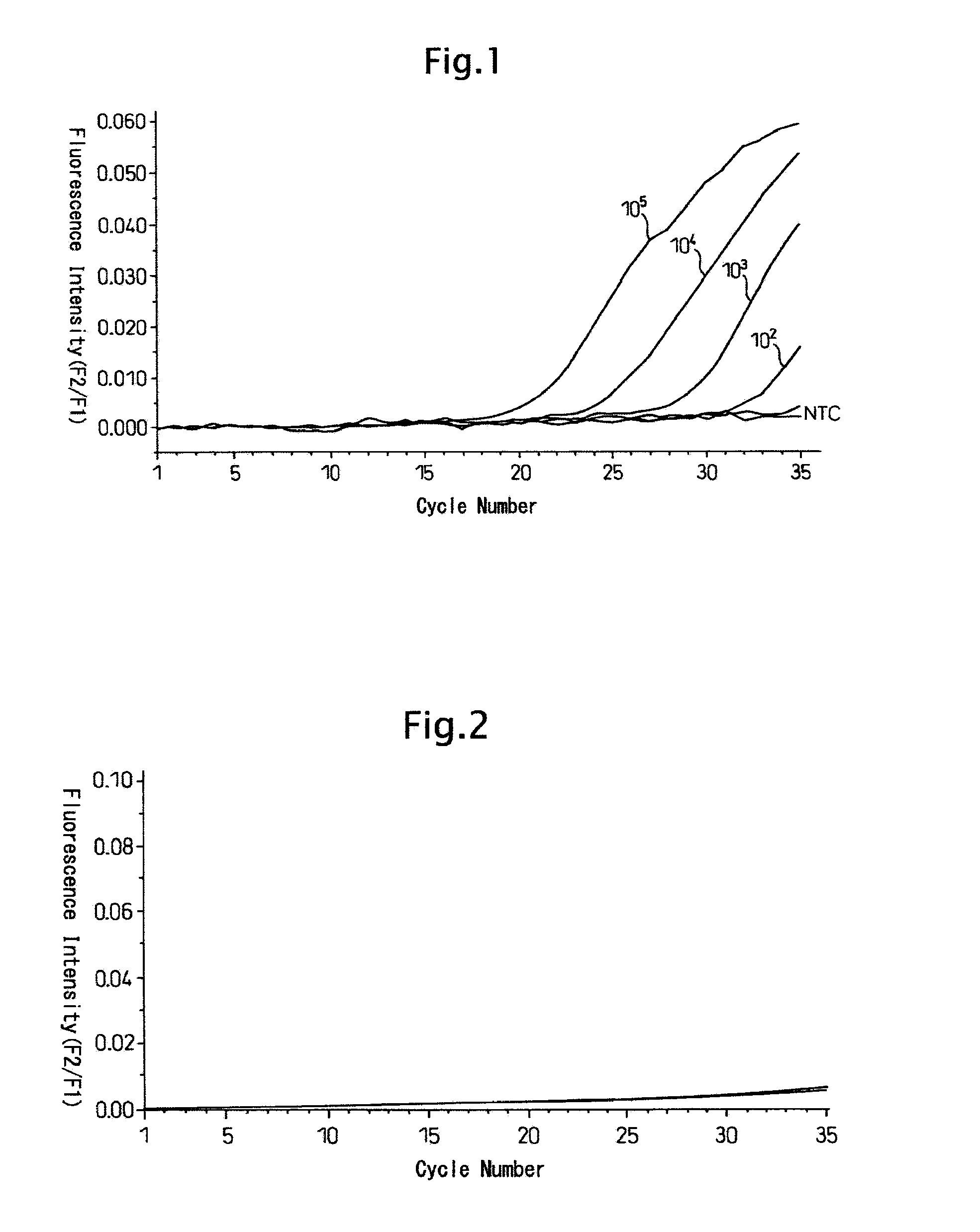 Method for quick determination of cytokeratin 19 (CK19) and primers and probes therefore