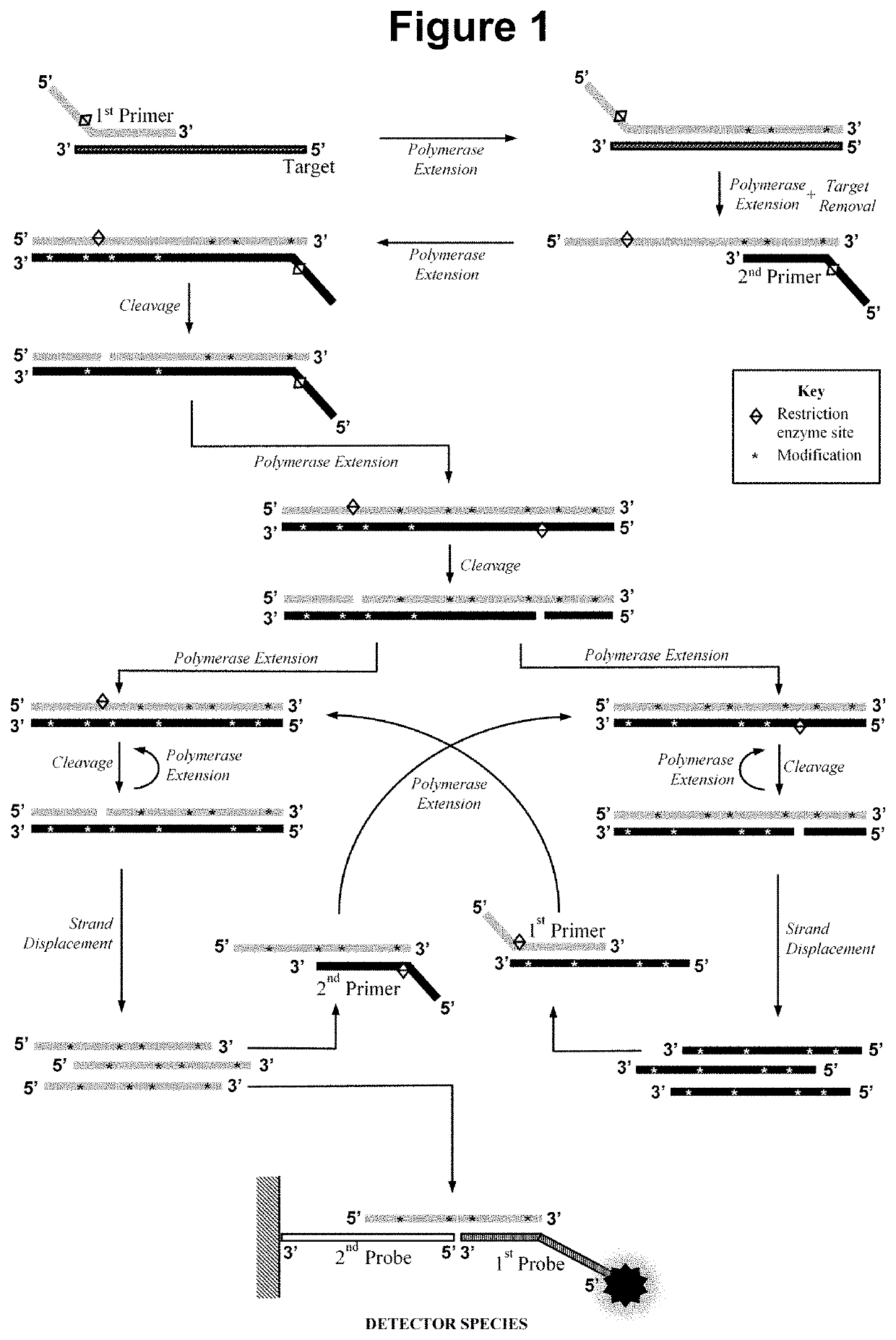 Nucleic acid detection method