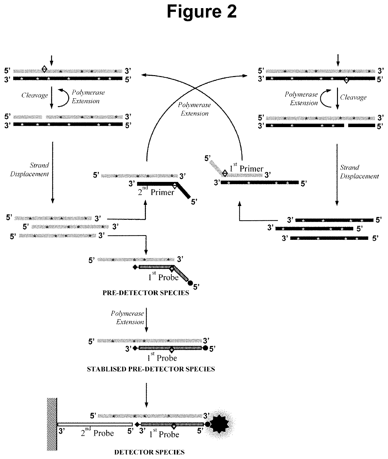 Nucleic acid detection method