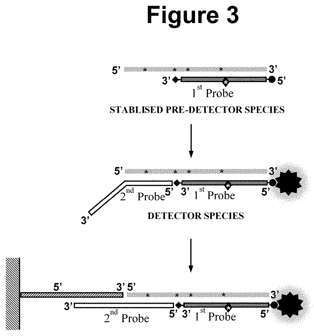 Nucleic acid detection method