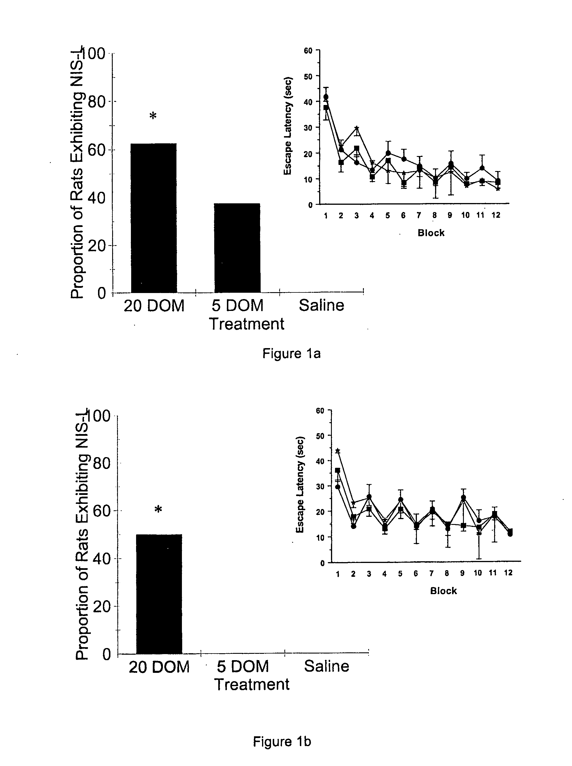 Developmental animal model of temporal lobe epilepsy