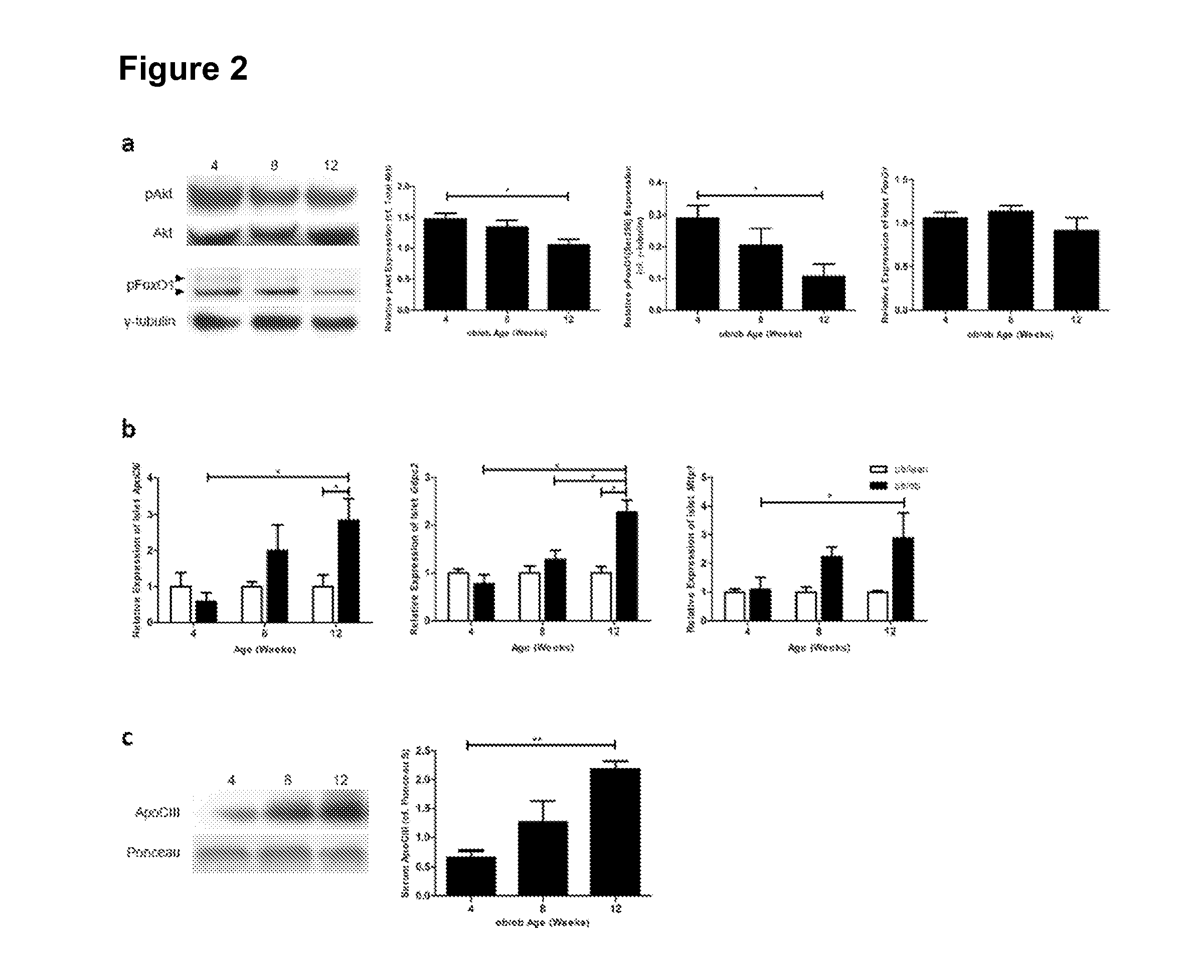 Methods for treating and/or limiting development of diabetes