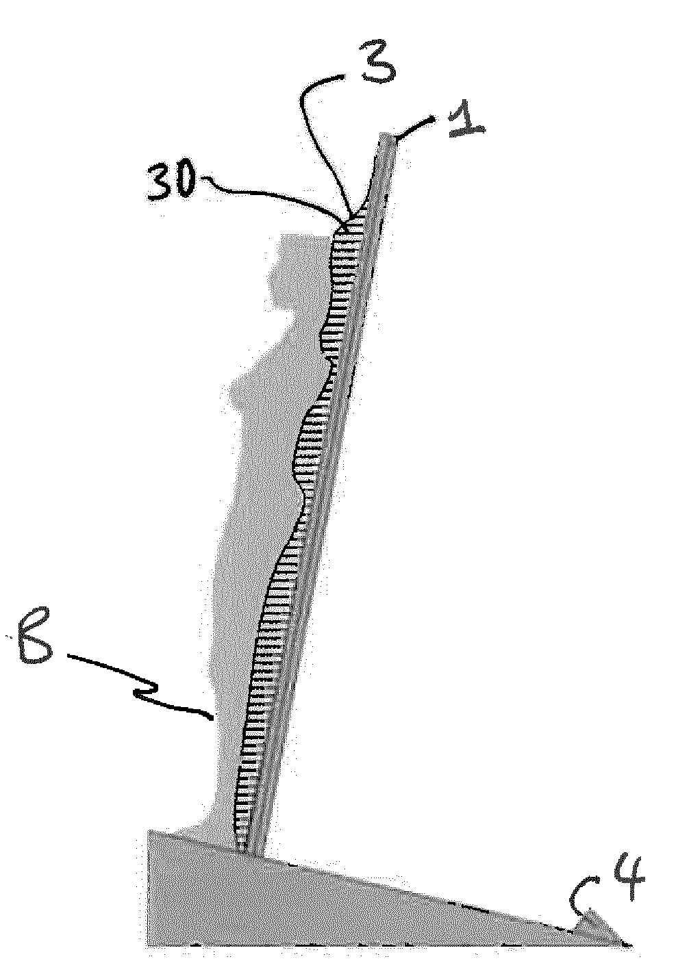 A system, apparatus and method for measuring body characteristics