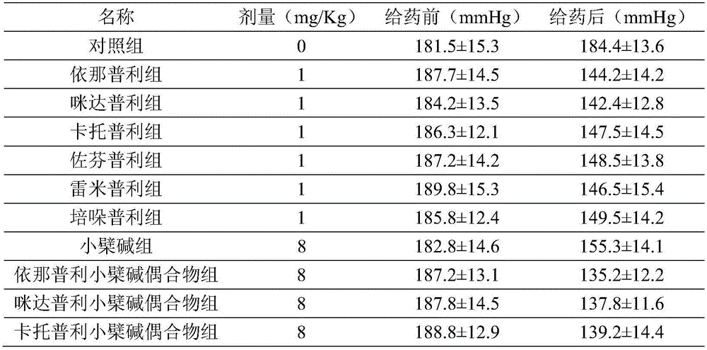 Preparation and medical application of ACEI (angiotensin converting enzynme inhibitor)-type berberine conjugate