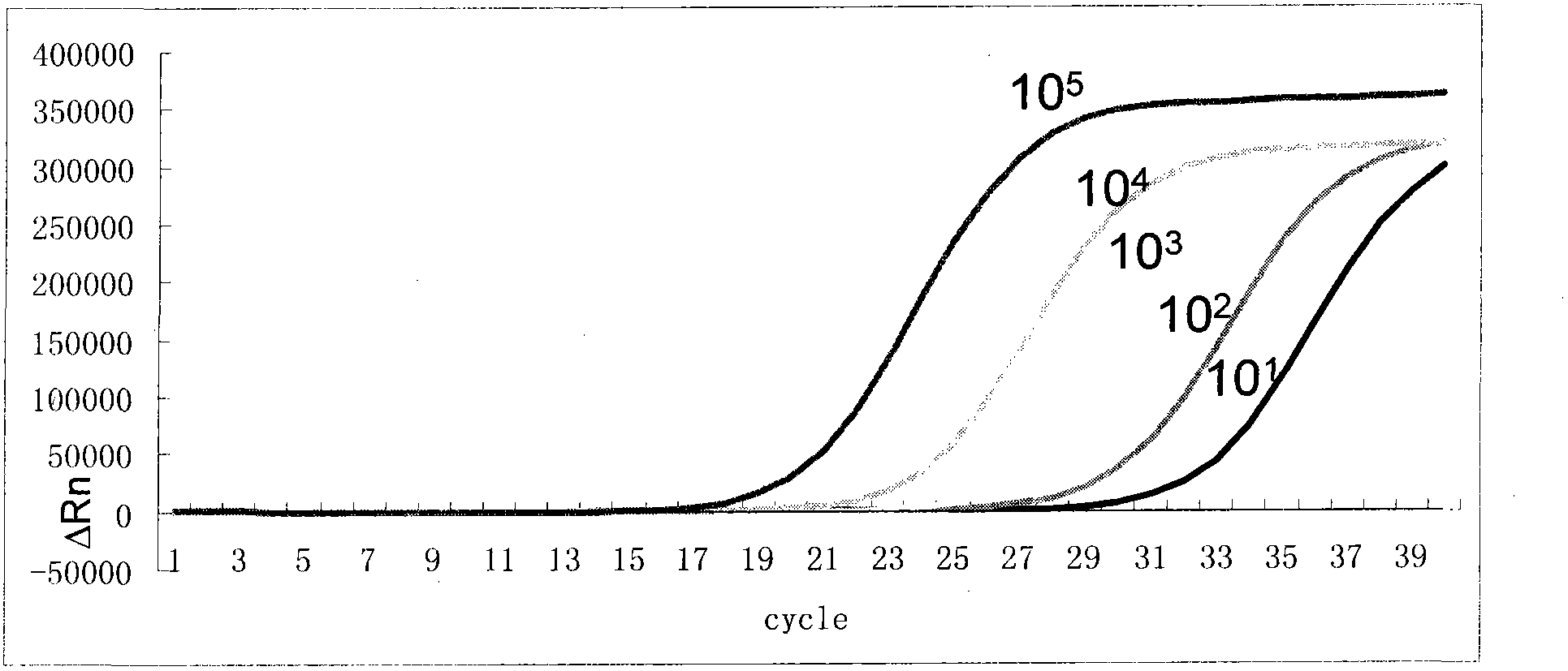 Primer and probe combination and kit for specifically detecting streptococcus pneumoniae and haemophilus influenzae