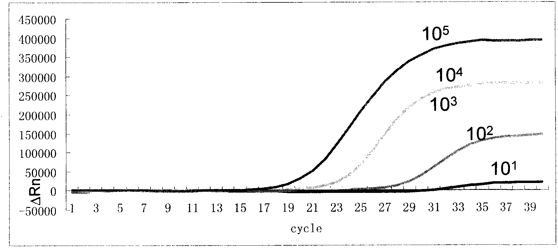 Primer and probe combination and kit for specifically detecting streptococcus pneumoniae and haemophilus influenzae