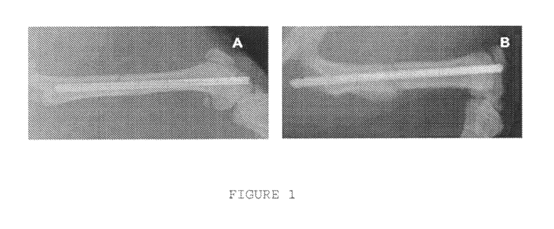 Use of vanadium compounds to accelerate bone healing