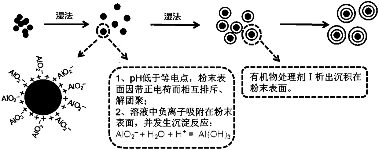 Oily powder paste with thixotropy and preparation method of oily powder paste