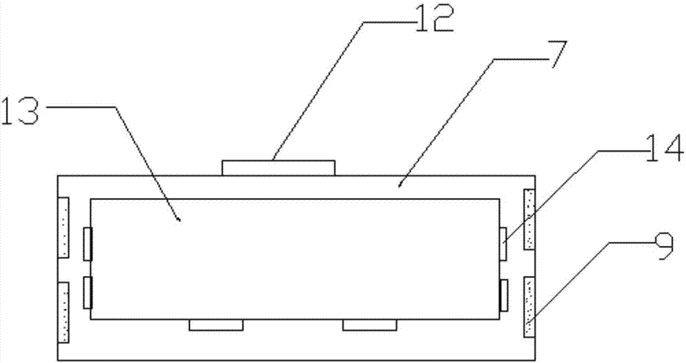 Special drying apparatus for shiitake mushrooms