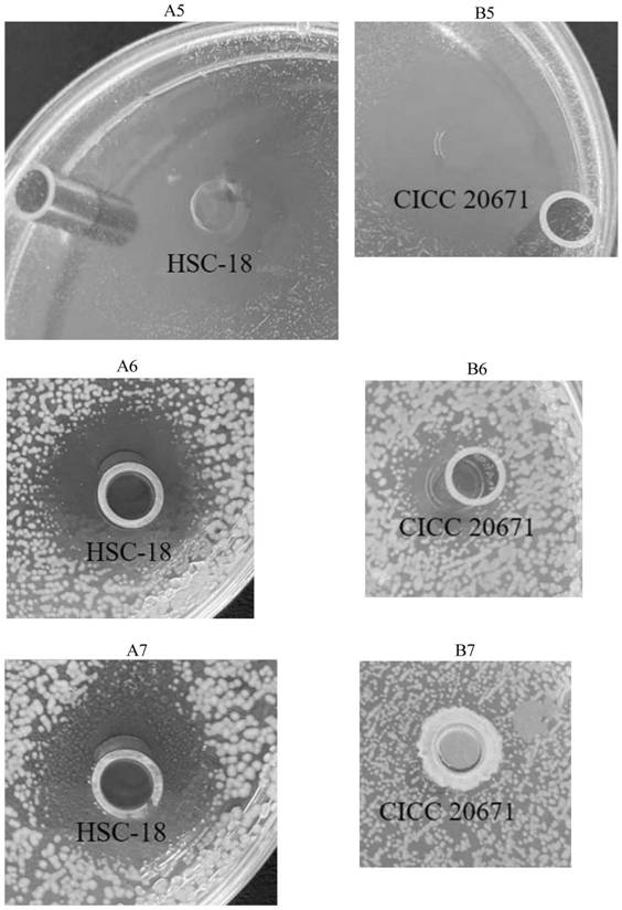 Enterococcus faecium, application thereof, composition and fermentation culture method of enterococcus faecium